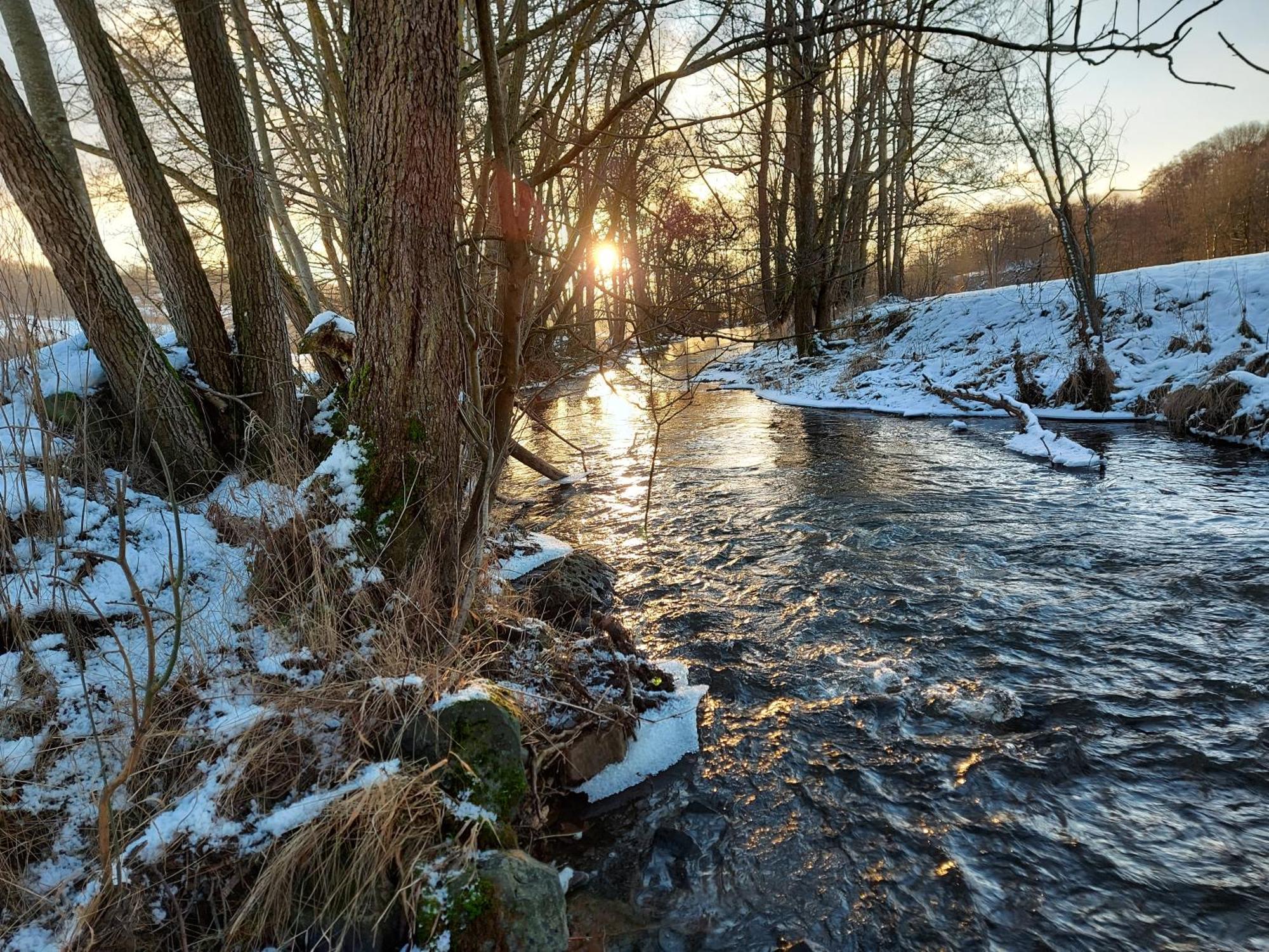 Gaestehaus Hochrhoenblick Schönau an der Brend Εξωτερικό φωτογραφία