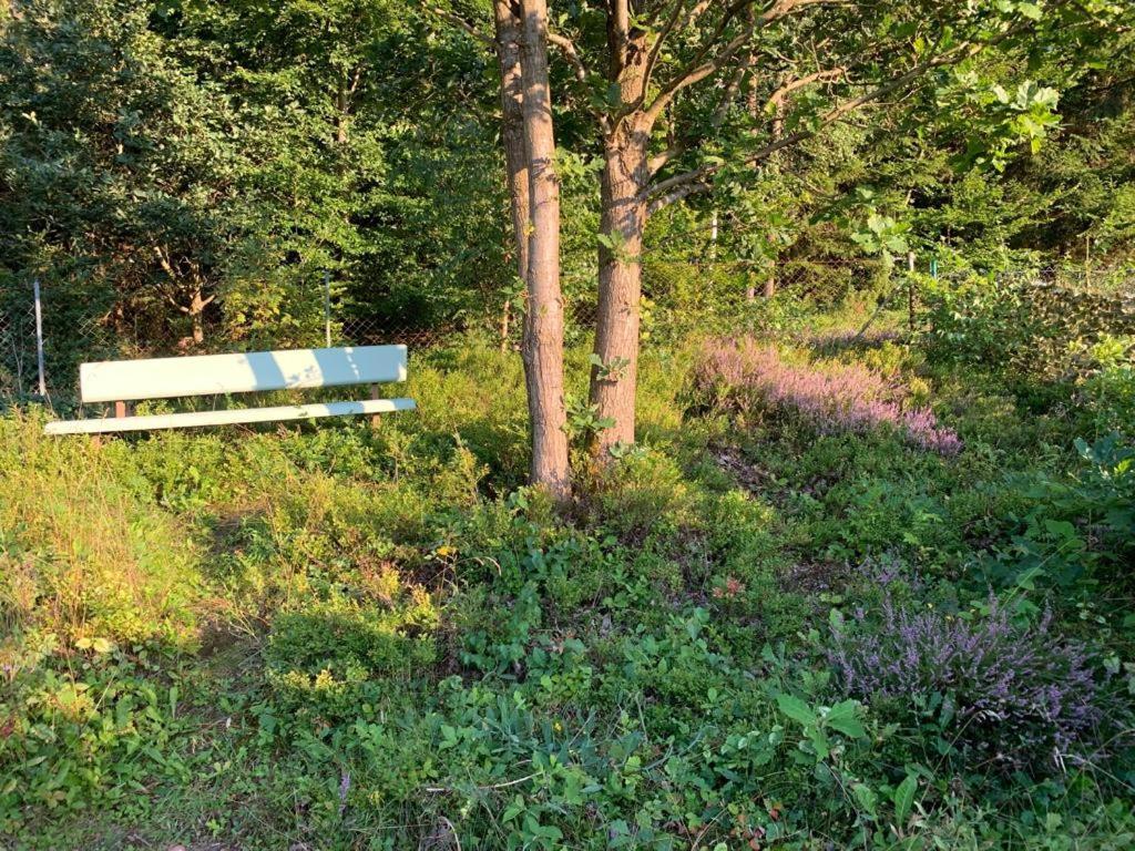 Gaestehaus Hochrhoenblick Schönau an der Brend Εξωτερικό φωτογραφία
