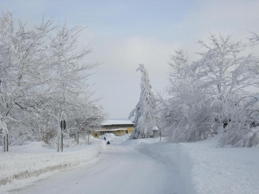 Gaestehaus Hochrhoenblick Schönau an der Brend Εξωτερικό φωτογραφία